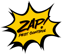 Zap Pest Control
