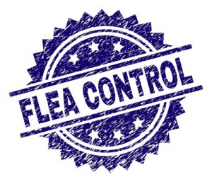 flea control