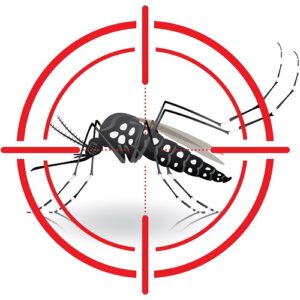 mosquitoes-2-300x300.jpg