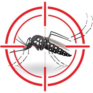 mosquito-2-1-300x300.jpg
