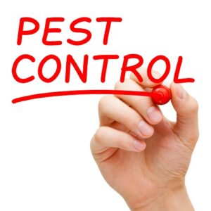 pest-control-2-4-300x300.jpg